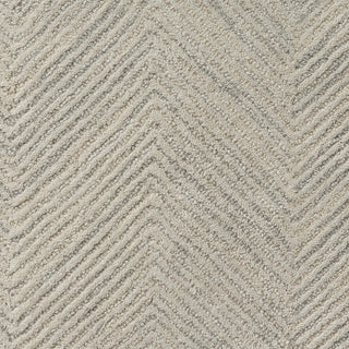 Nevaeh Transitional Chevron Indoor Area Rug
