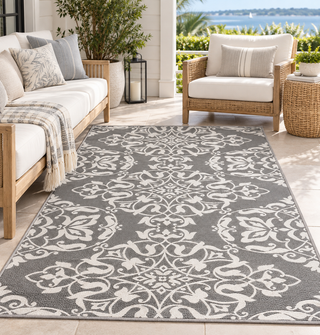 Wrought Iron Cool Silver 5' x 8'

