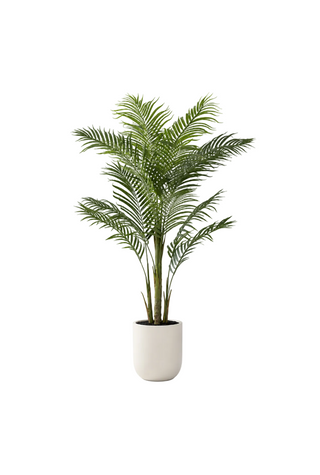 6 Foot Palm Tree in White Pot w/Faux Dirt
