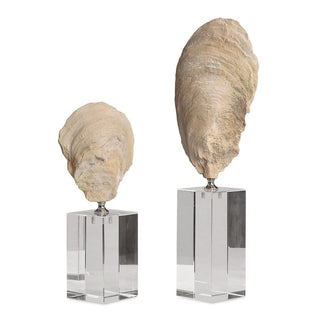 Oyster Shell Sculptures   Set of 2

