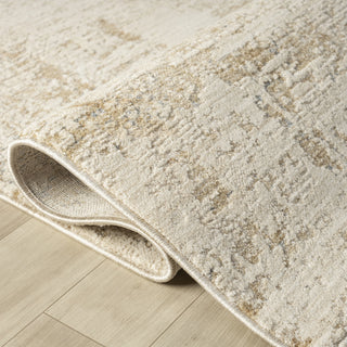 Vida Transitional Abstract Indoor Area Rug
