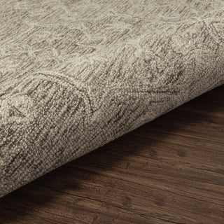 Cozyra Transitional Floral Indoor Area Rug
