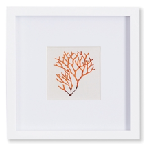 BRANCH CORAL PETITE PRINT II