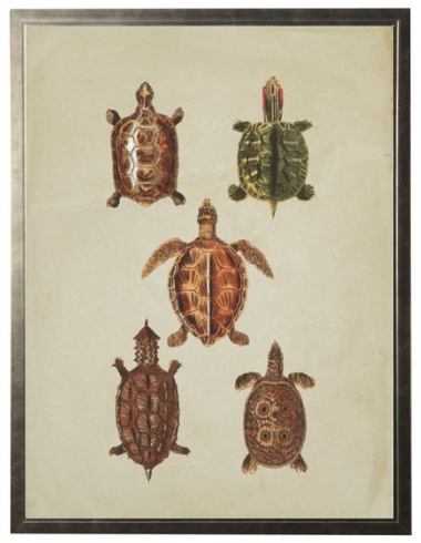 Acrylic Turtles on Linen Background - Online Only