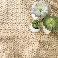 Veranda Natural Indoor/Outdoor Rug 2x3