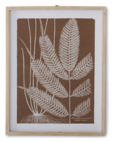 27.75 Inch Natural Wood Framed Brown & White Fern Print II

