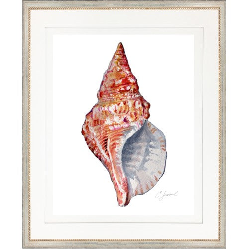 CL- SHELL 5 - 18" x 22" - 1" Silver Frame