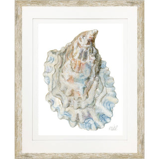 Oyster Shell 12
