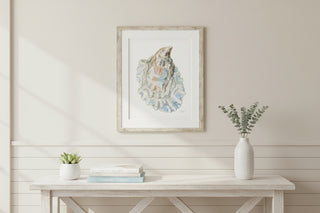 Oyster Shell 12

