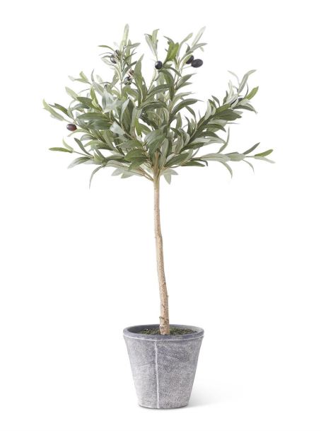 31 Inch Olive Tree w/Gray Wash Pot