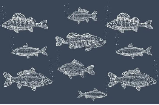 Sea of Fish Paper Placemat