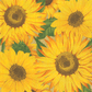 Sunflowers Napkins