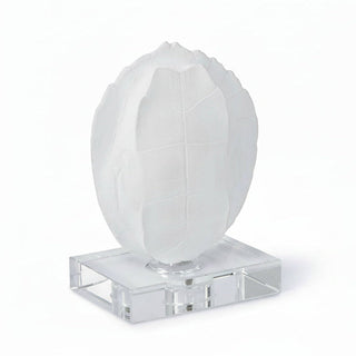 Turtle Shell on Crystal
