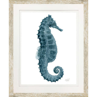 Sea Horse I   18" x 22"
