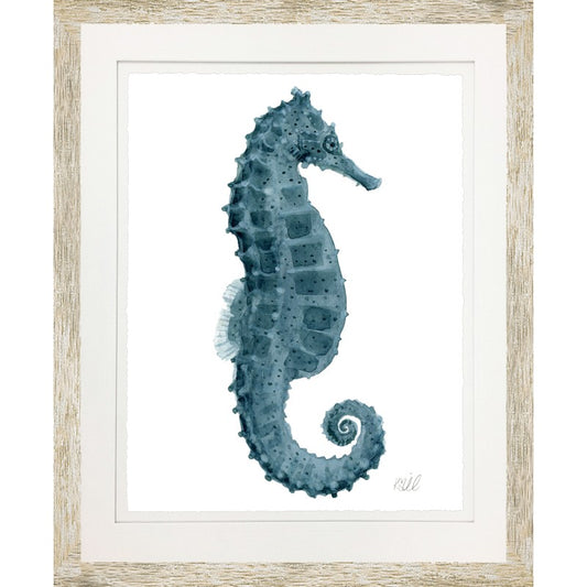 Sea Horse I 18" x 22"