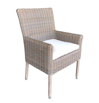 Boca Indoor/Outdoor Arm Dining Chair
