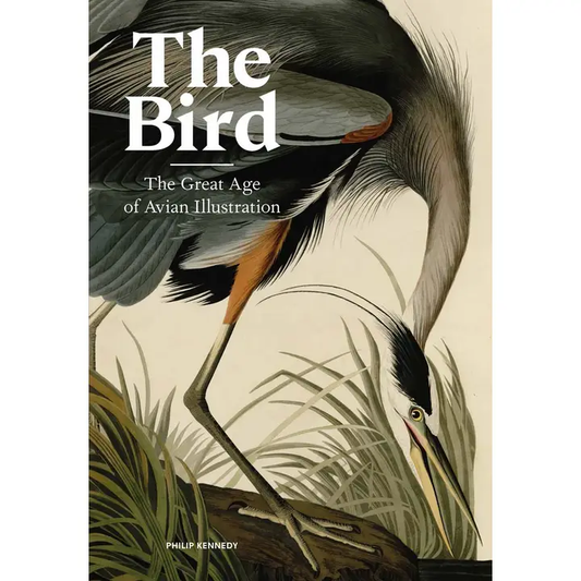 The Bird