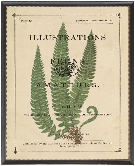 Fern on Vintage Book Title Page D - Online Only