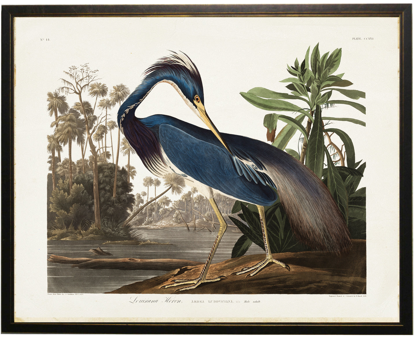 Navy Heron by the Sea - Online Only