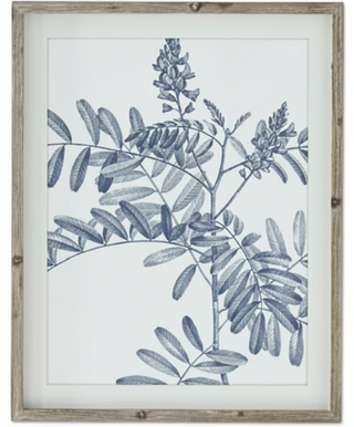 27.75 Inch Wood Framed Blue & White Botanical Print III
