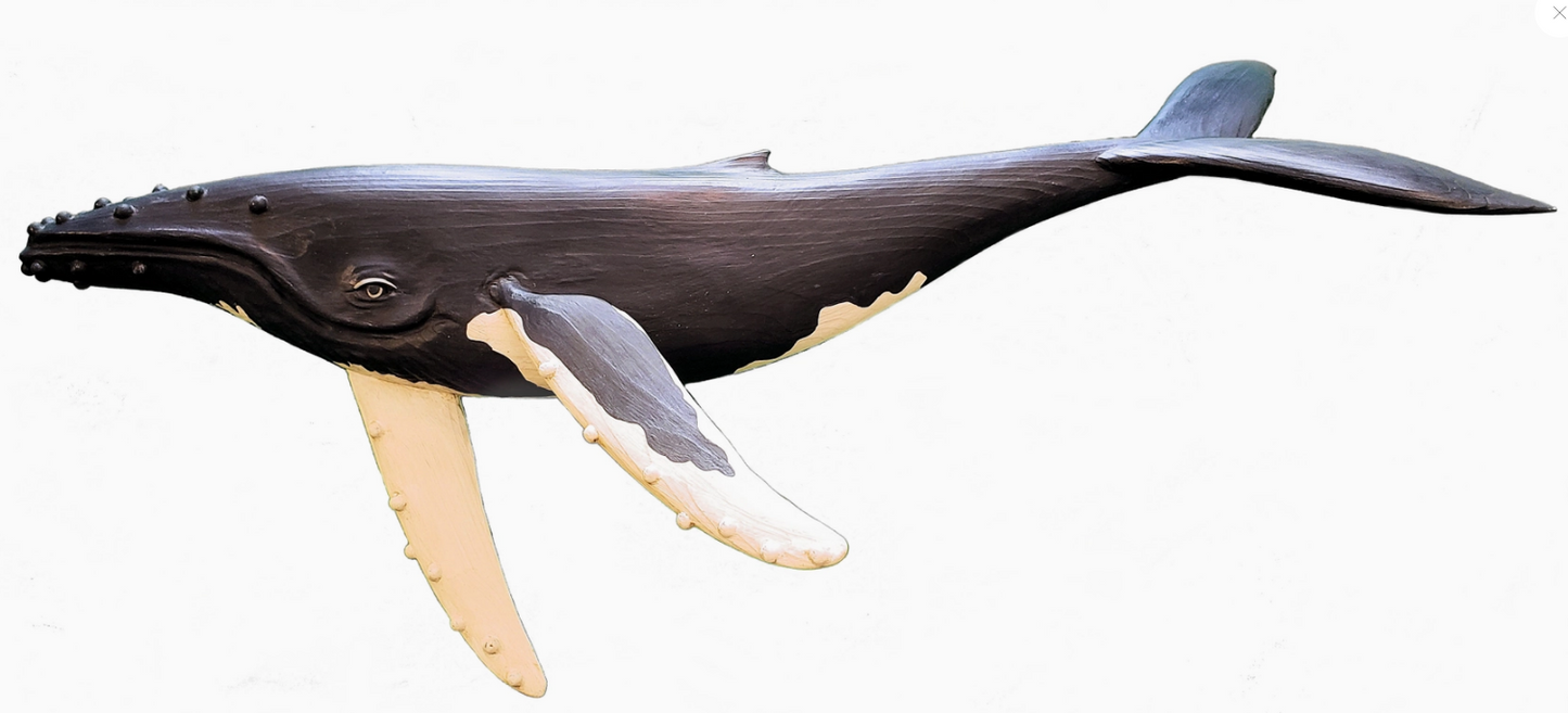 Humpback Whale - Gray