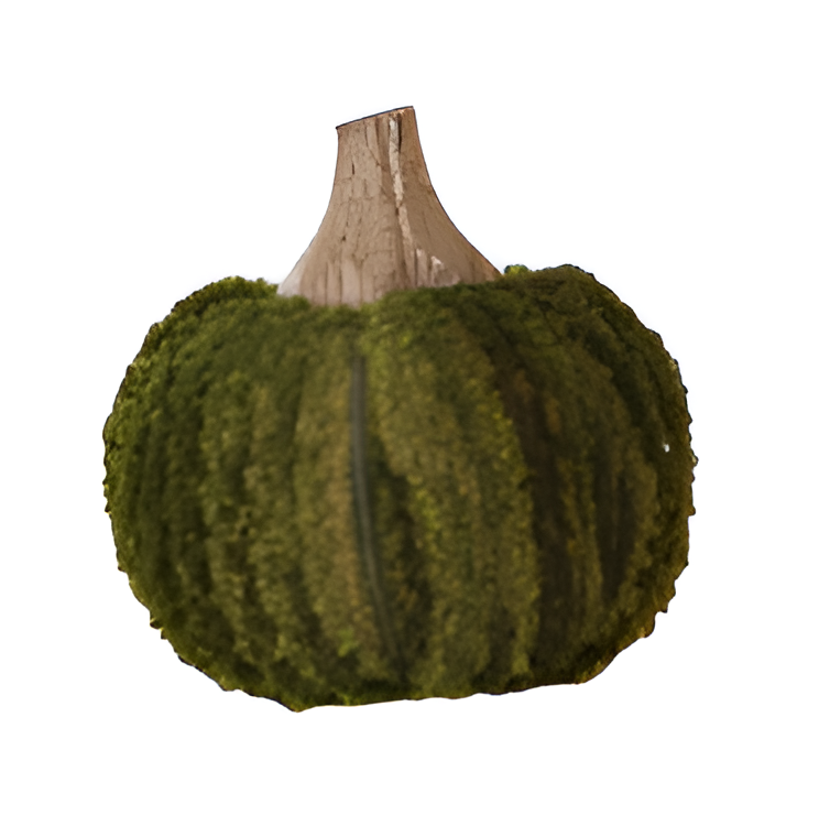 Cotton Blend Bouclé/Velvet Pumpkin w/ Wood Stem - Small - Green Boucle