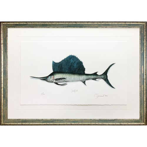 CL- SAILFISH - 29" x 21" - 1" Barnwood Frame