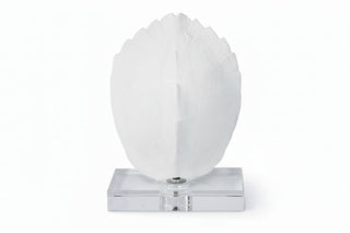 Turtle Shell on Crystal
