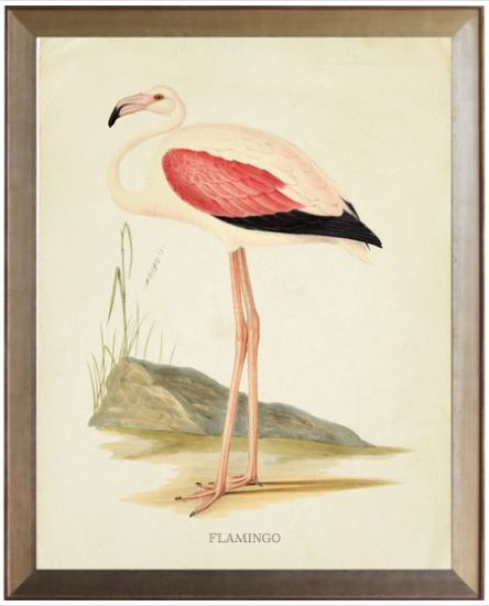 Flamingo with Pink Wing - Online Only