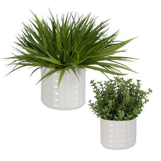 Edgewood Greenery   Set of 2

