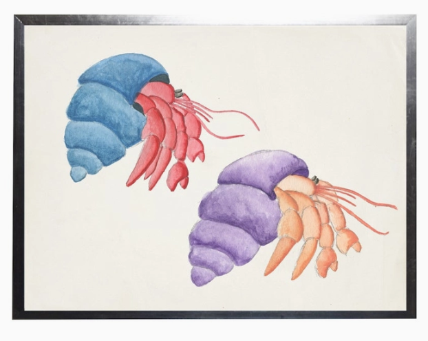 Watercolor Hermit Crabs - Online Only