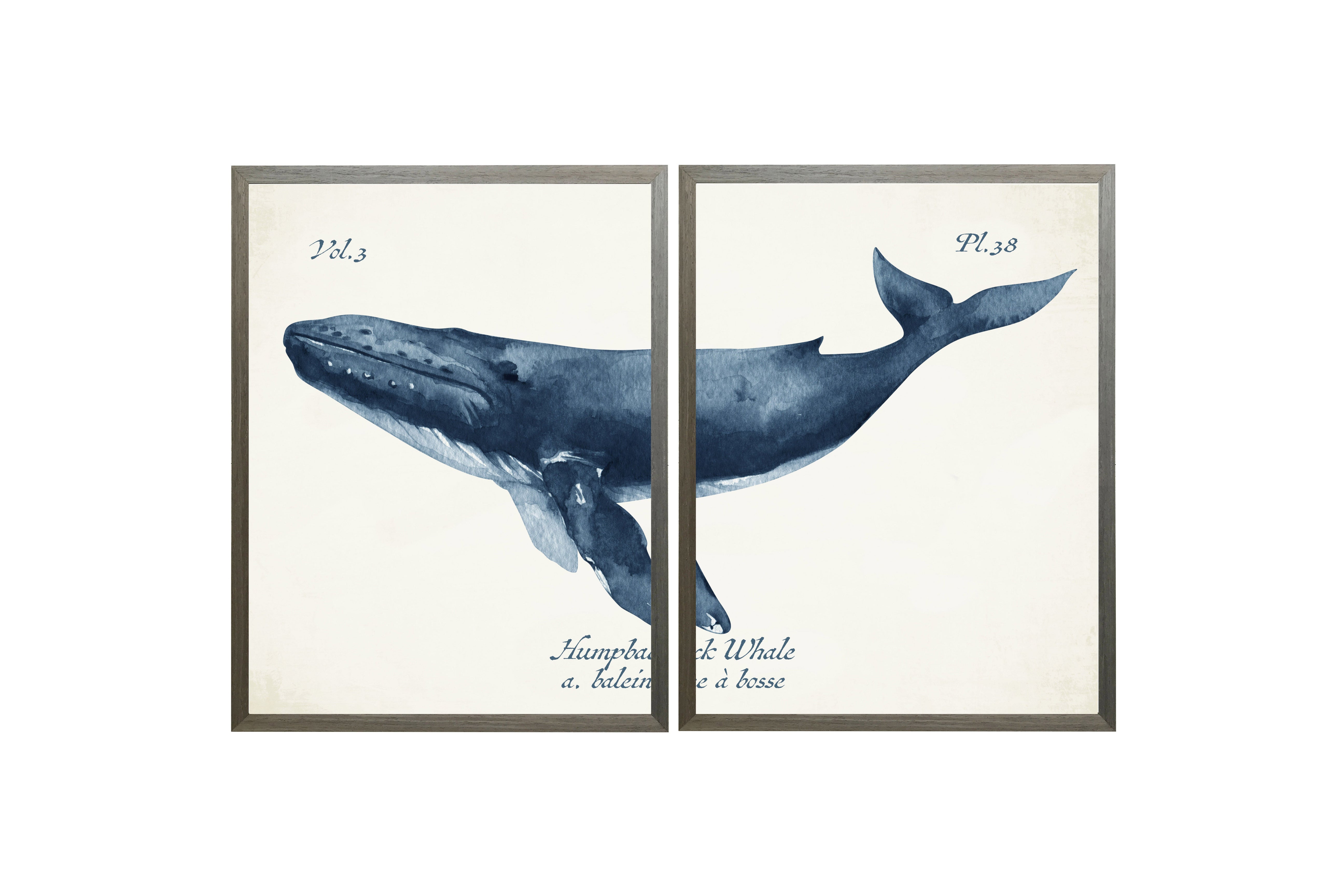 【洋書】PIETER PORTERS ブルーメンヴォールヘットインテリア Diptych Navy Humpback Whale – The Spotted Whale