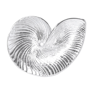 Nautilus Shell Platter
