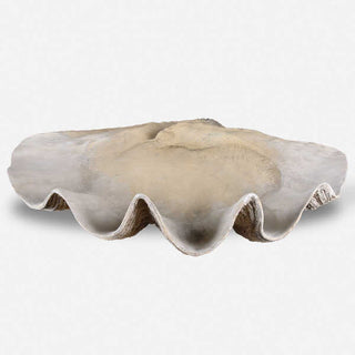 Clam Shell Bowl
