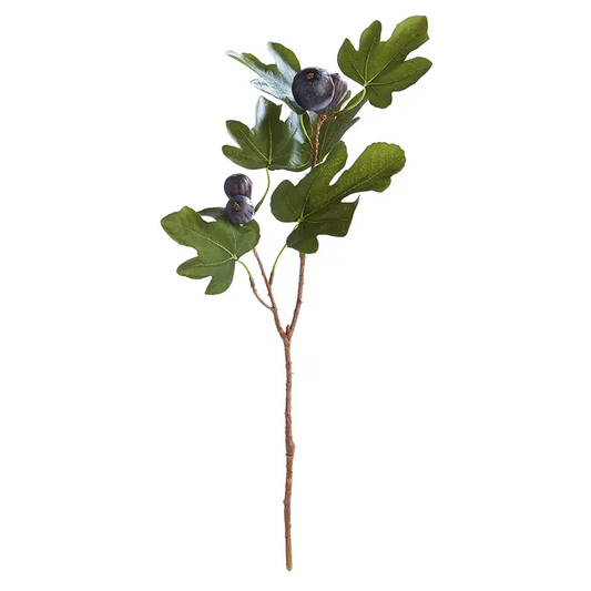 Fig Stem with Figs 21.5"