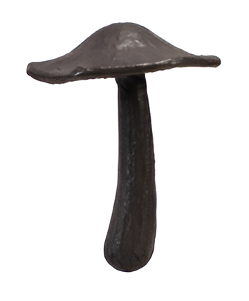 Cast Iron Mushroom II