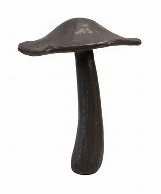 Cast Iron Mushroom II
