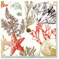 Marine Study Ivory Napkins