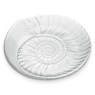 Shell Platter
