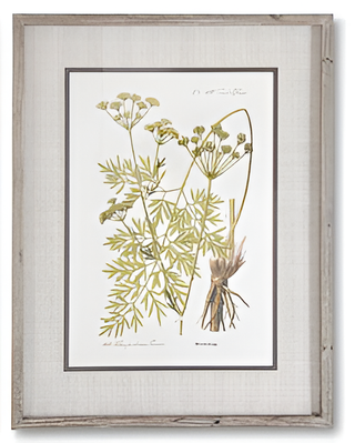 27.5 INCH FIR WOOD FRAMED BOTANICAL PRINT II
