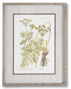 27.5 INCH FIR WOOD FRAMED BOTANICAL PRINT II