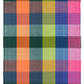 Happy Plaid Multi Indoor/Outdoor Rug 2x3