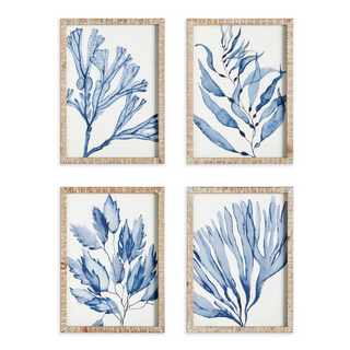 Marine Prints   Set of 4
