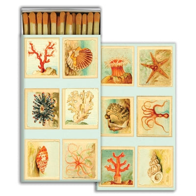 Matches - Mollusks, Coral, Seastars