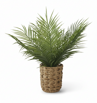 Fern in Woven Pot w/Faux Rocks I
