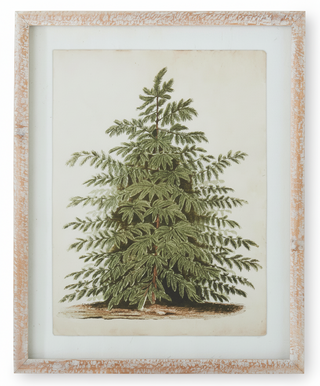 19.75 Natural Carved Wood Framed Pine Tree Print I
