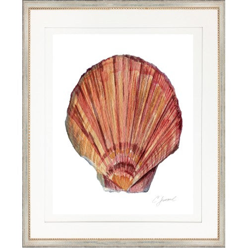 CL- SHELL 9 - 18" x 22" - 1" Silver Frame