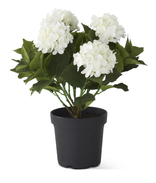 18.75 Inch 5 Bloom White Potted Hydrangea w/Faux Dirt