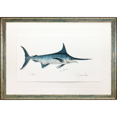 CL- BLUE MARLIN - 29" x 21" - 1" Barnwood Frame