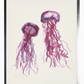 Watercolor Jellyfish - Online Only